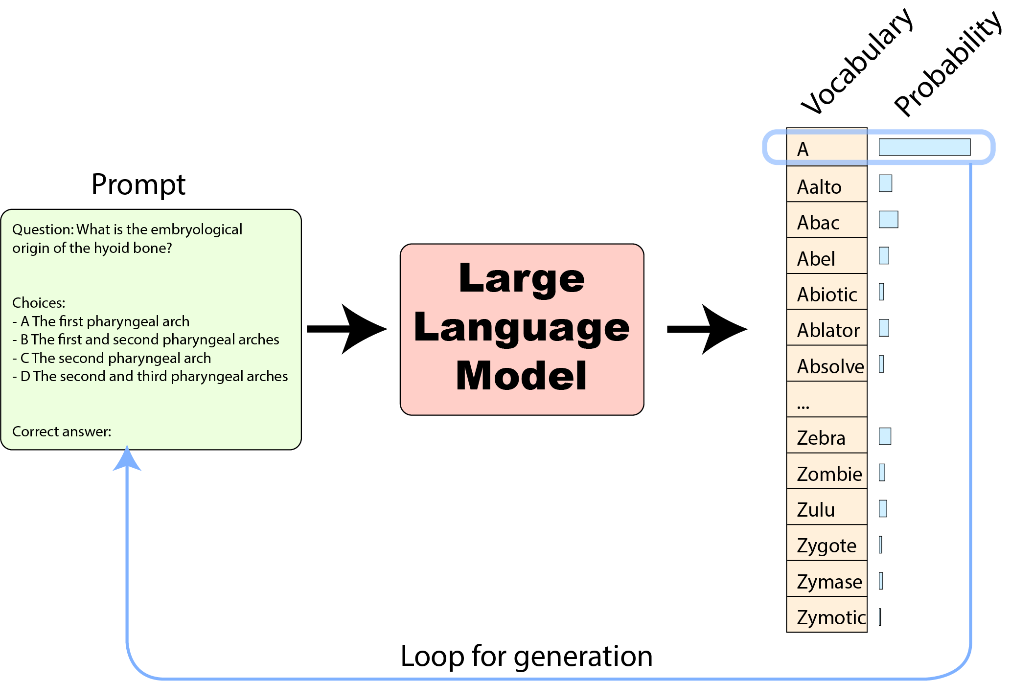 A multiple-choice question is passed to an LLM, and the next-token probabilities are compared for the answer labels.